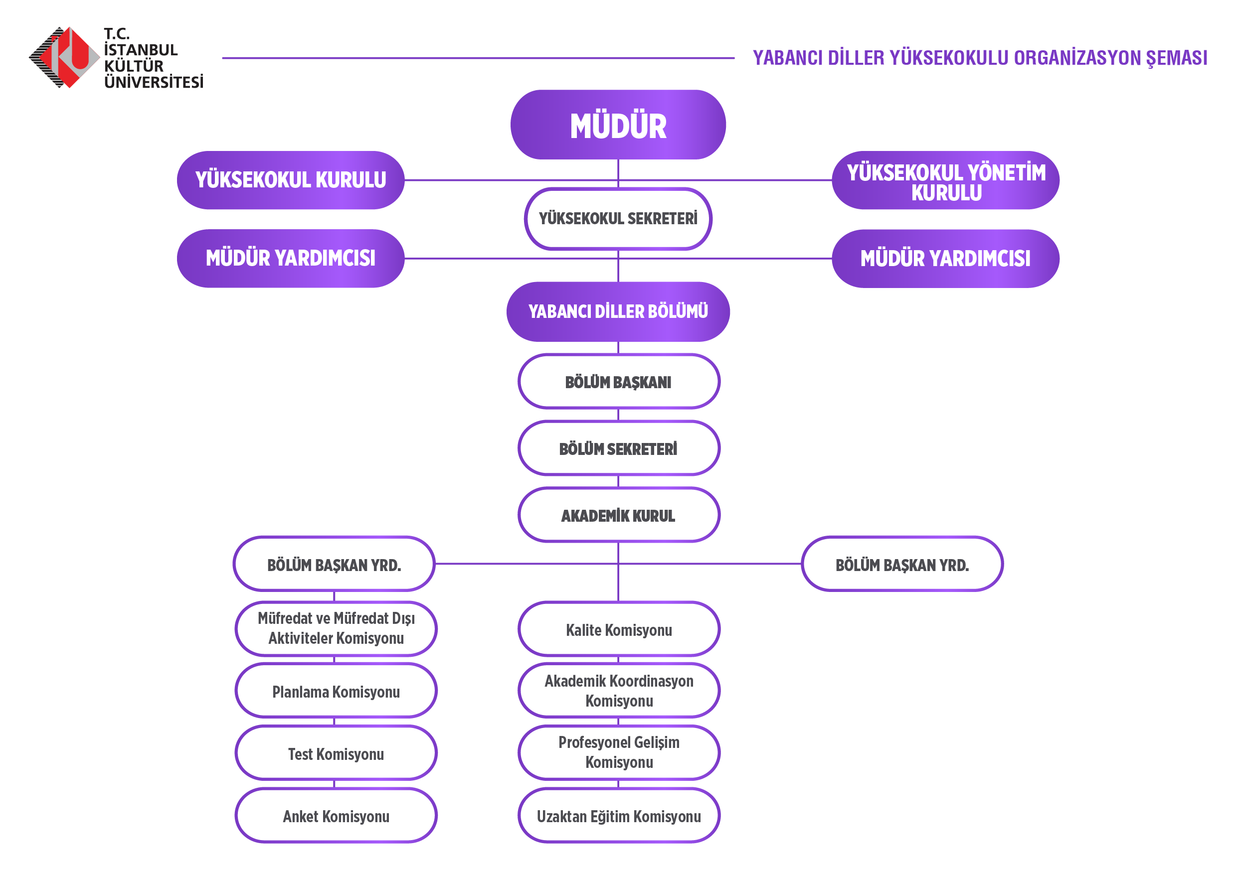 organizasyon